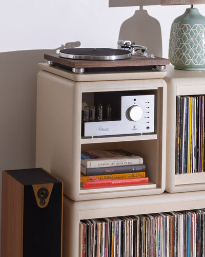 Split in White Pearl holding an amplifier and books, shown as part of Patti — Groovaly